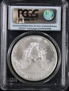 2008 Silver Eagle PCGS MS70 First Strike