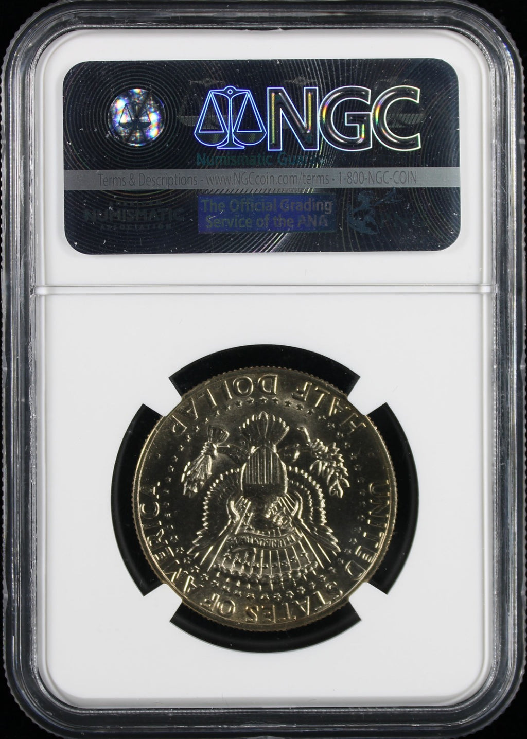1981-P Kennedy Half Dollar 50c NGC MS65