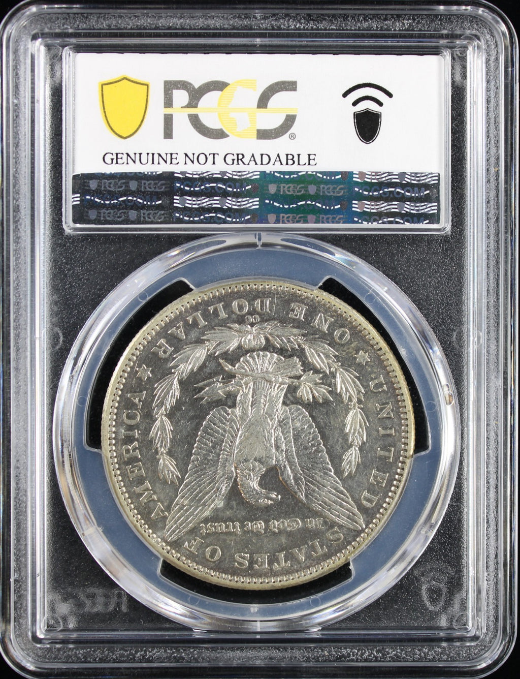 1889-CC $1 Morgan PCGS Filed Rims XF Detail